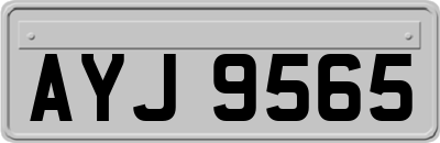 AYJ9565