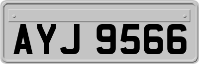 AYJ9566