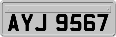 AYJ9567