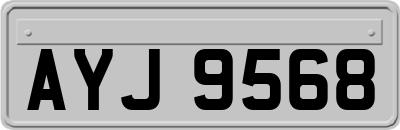 AYJ9568