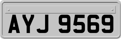 AYJ9569