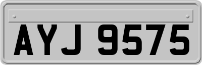AYJ9575