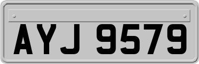 AYJ9579