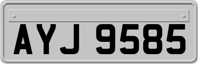 AYJ9585