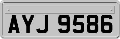 AYJ9586