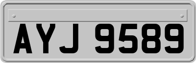 AYJ9589