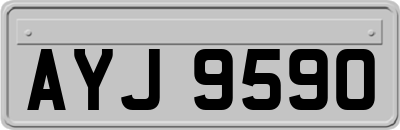 AYJ9590