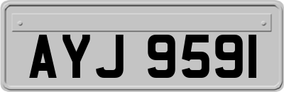 AYJ9591