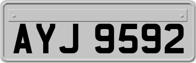 AYJ9592