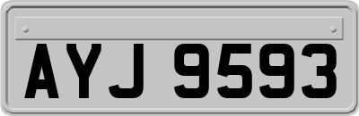 AYJ9593