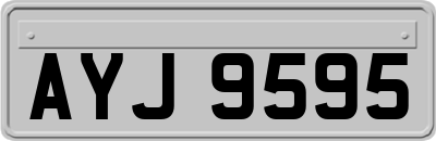 AYJ9595