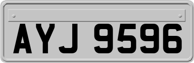 AYJ9596