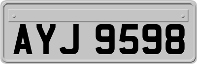 AYJ9598