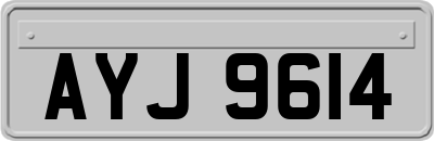 AYJ9614