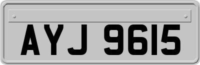 AYJ9615
