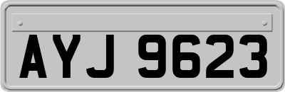 AYJ9623