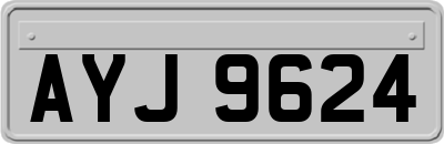 AYJ9624