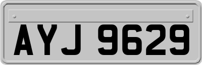 AYJ9629