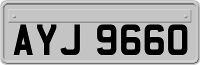 AYJ9660