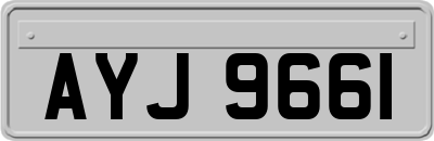 AYJ9661