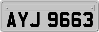 AYJ9663