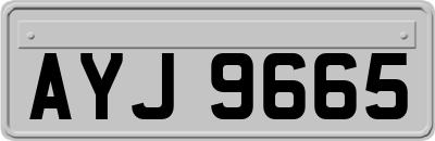 AYJ9665