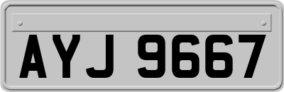 AYJ9667