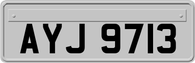 AYJ9713