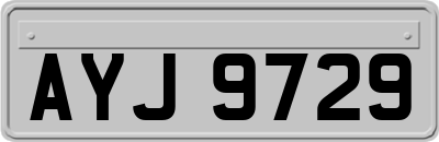 AYJ9729
