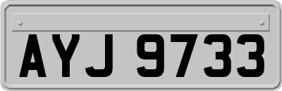 AYJ9733