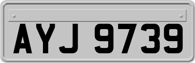 AYJ9739