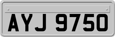 AYJ9750