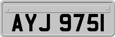 AYJ9751