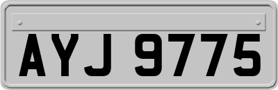 AYJ9775