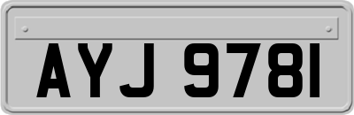 AYJ9781