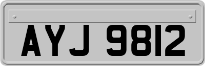 AYJ9812