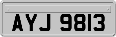 AYJ9813