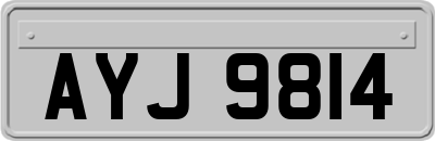 AYJ9814