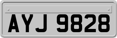 AYJ9828