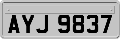 AYJ9837