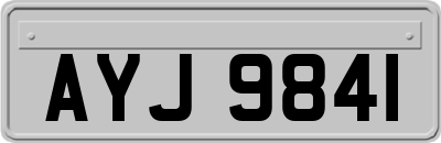 AYJ9841