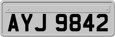 AYJ9842