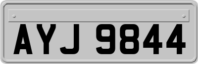 AYJ9844