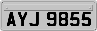 AYJ9855