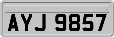 AYJ9857