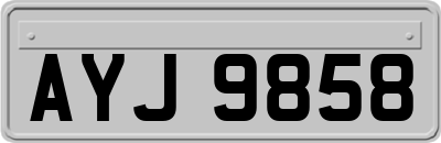 AYJ9858
