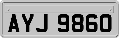 AYJ9860