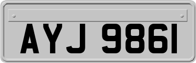 AYJ9861