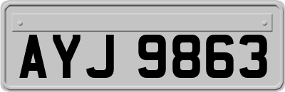 AYJ9863