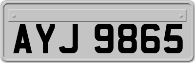 AYJ9865